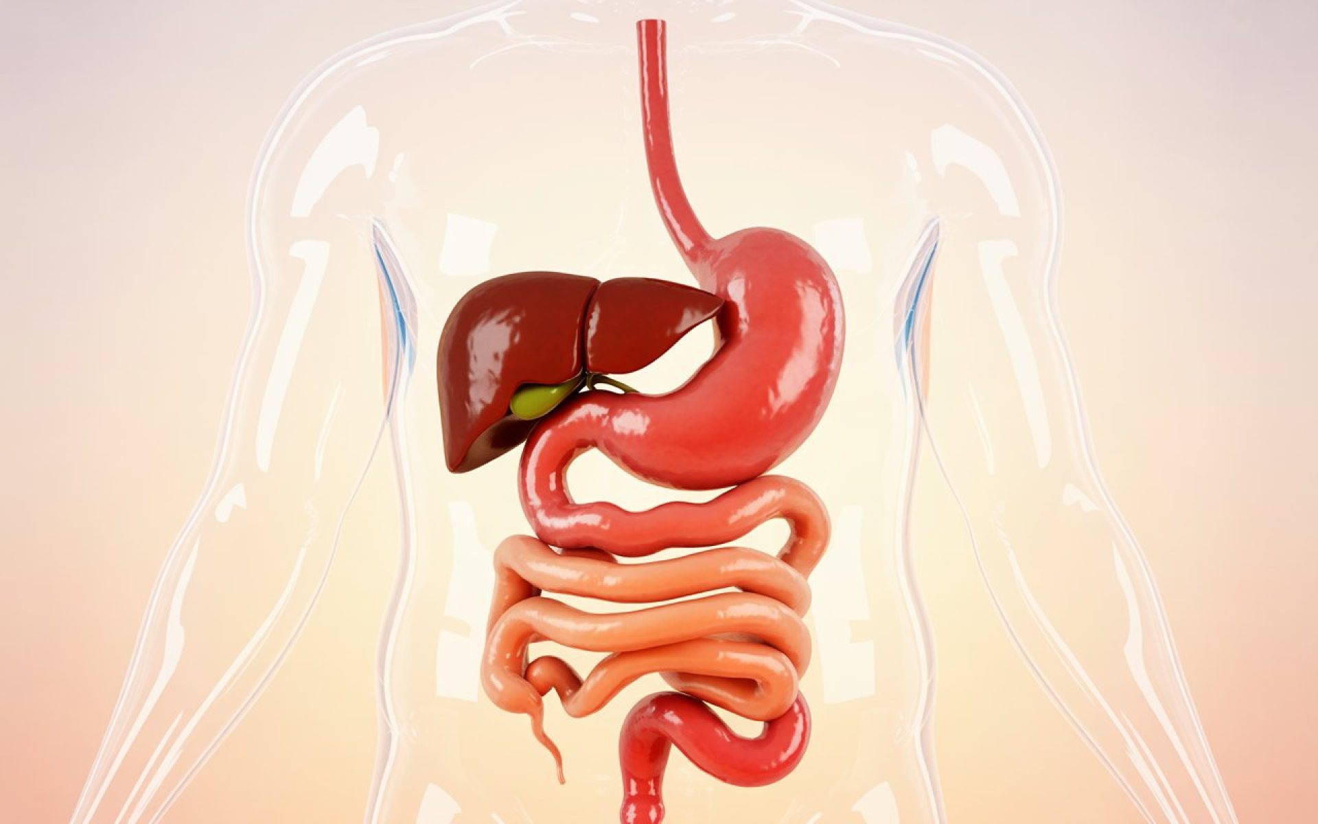 6JkIBH5mR1WbozybTgfMoQ